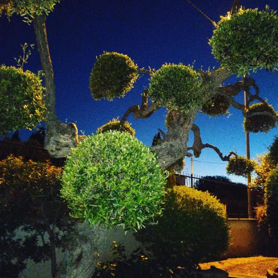 Bnb Villa Lucia Bari Bagian luar foto